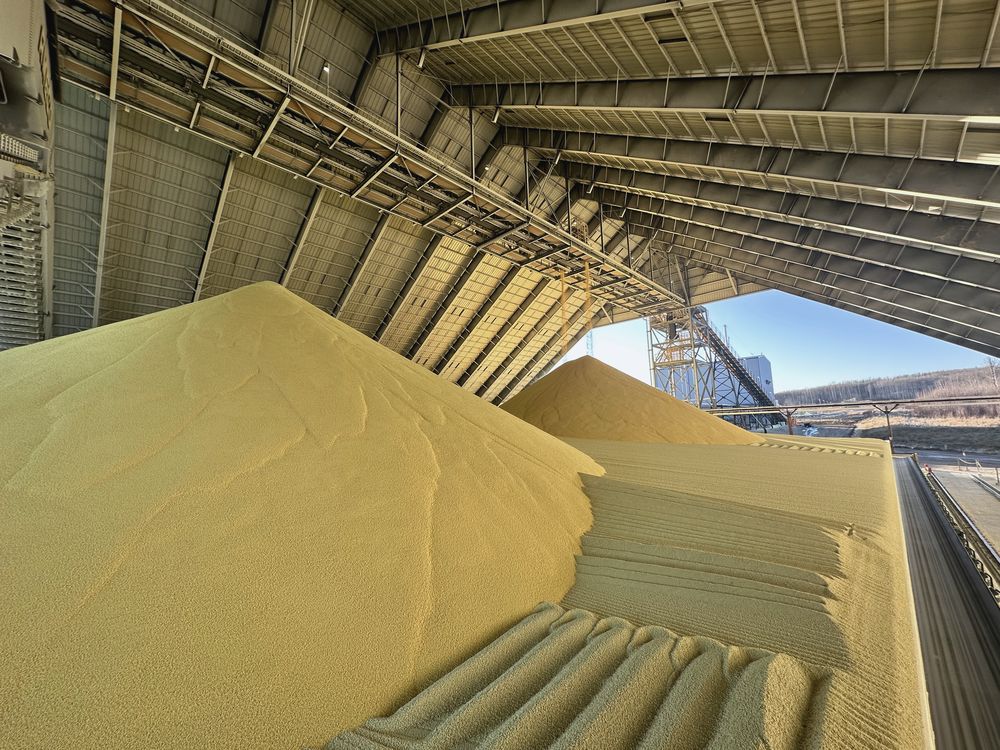 Bulk sulphur stockpile inside a storage building during railcar loading